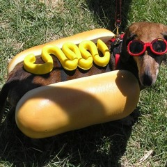 Skuzzbucket Gets Their Groove Back