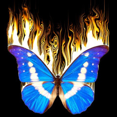 Game Over Prod. sascha