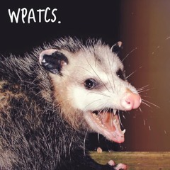 wpatcs. - Opossum