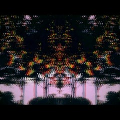 P H I L O $ O P H Y - PR0PHE7IC V1$10N$ (M.D.D.)