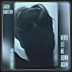 Never Let Me Down Again (Depeche Mode cover)