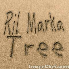 Alka Nemo - Ring the Alarm  (SoundBwoy Delicate & Evalast)@Ril Marka Tree Sound