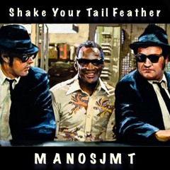 Blues Brothers - Shake Your Tail Feather (ManosJMT Remix)