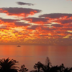 The Mood + Palm Trees (prod. Khany0, Ja$on, Lakei)