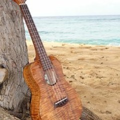 Can't Help Falling In Love (cover)