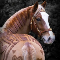 Diermo - Where Is My Horse