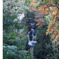 Serenade For Strings & Harp