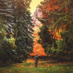 Solitude