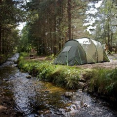 Thơ của người bán hoa cúc dại - Thọ đọc