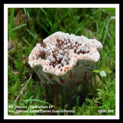 [HDRL090] Fly District - Hydnellum EP Inc. Samuel Jabba,Daniel Guerra Remix Out Now!!!