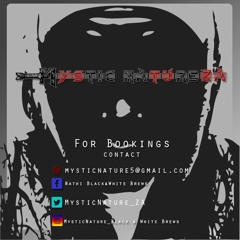 DJ Bullet ft.Dvine Lopez - I'm Not A DJ (MysticNature's Bootleg Remix)