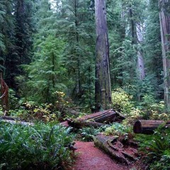 Abba (Arms of a Father) Cover