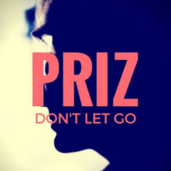 priz - Don't Let Go