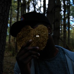 Trippy Troy - Okay (Prod. By Sai Sen)