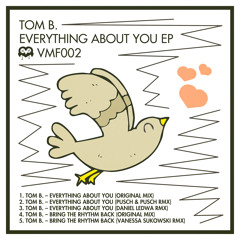 Tom B. - Everything About You (Pusch & Pusch Remix)