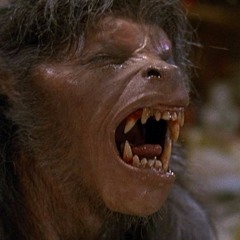 Week 6: South Carolina, An American Werewolf in London, Pumpkin Spice