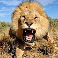 Hasta Enfrente'SdackO ft Resen, (2016)