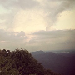 California Dreaming'