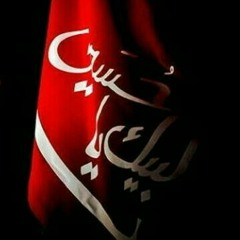 Muhammad Hamare, Ali Shanawar & Ali jee 2013 14.mp3