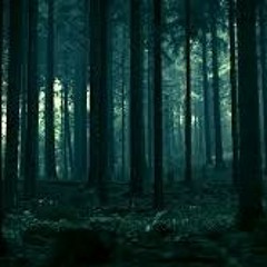 Where Did You Sleep Last Night (Leadbelly cover)