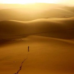 أحمد سالم - أبدأ بإيه - البوم سيلفي 2016