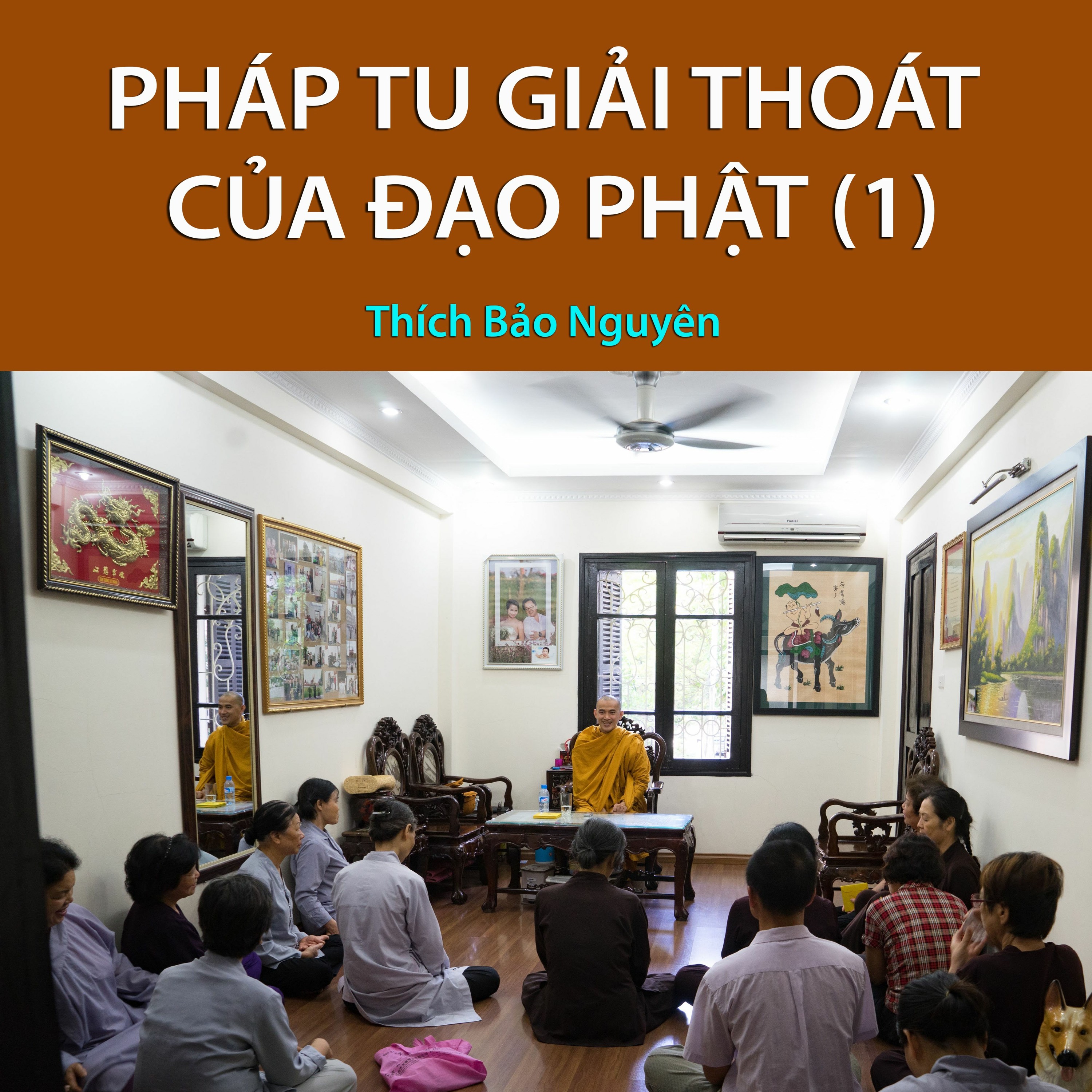Pháp Tu Giải Thoát Của Đạo Phật (1) episode artwork