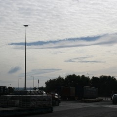 Cognative Dissonance