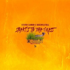 SNAKES IN THA GRASS(WITH STEVE CANNON)(PROD. BY @TAYOFETTI)