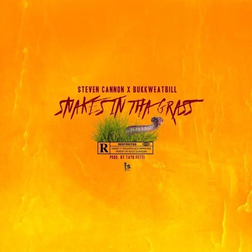 SNAKES IN THA GRASS(WITH STEVE CANNON)(PROD. BY @TAYOFETTI)