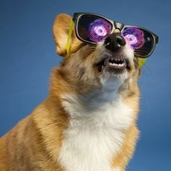 r3unite - NightCorgi x Lil BaeBlade