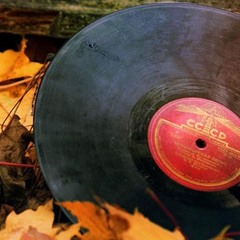 One Too Many Grooves