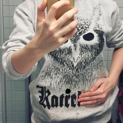 Norwegian Band Intro