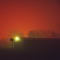 Blueneck - The White Strip