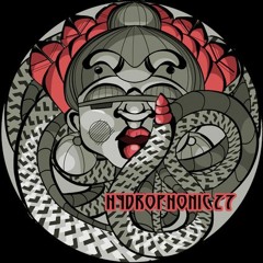 Hydrophonic 27 - Funny Ox - Vinyl Sampler