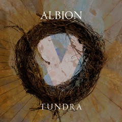 Albion V Tundra