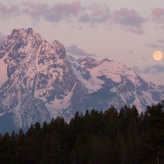 Part 2 The Appearance Of Fitn In Our Times By Abu Hakeem
