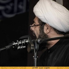 يا زاير كربلاء