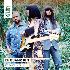Gottwood Mix #018 - Khruangbin (Live From Gottwood)