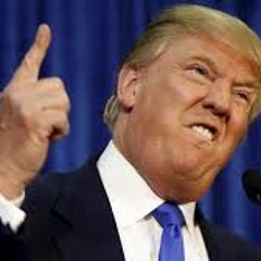 Make EDM Great Again (Best of Donald Trump remix)