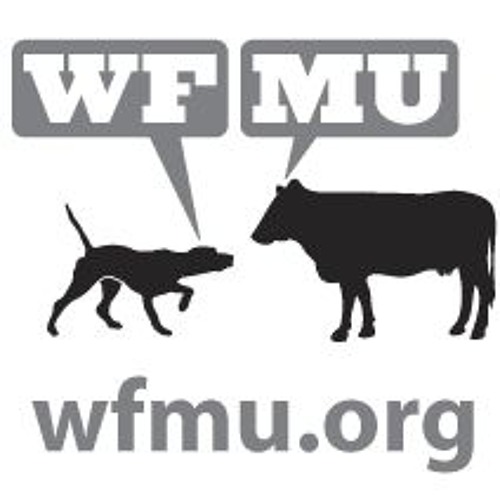 WFMU Session