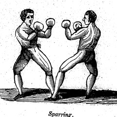 Sparring