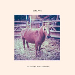 Los Colores Sin Aroma Son Piedras