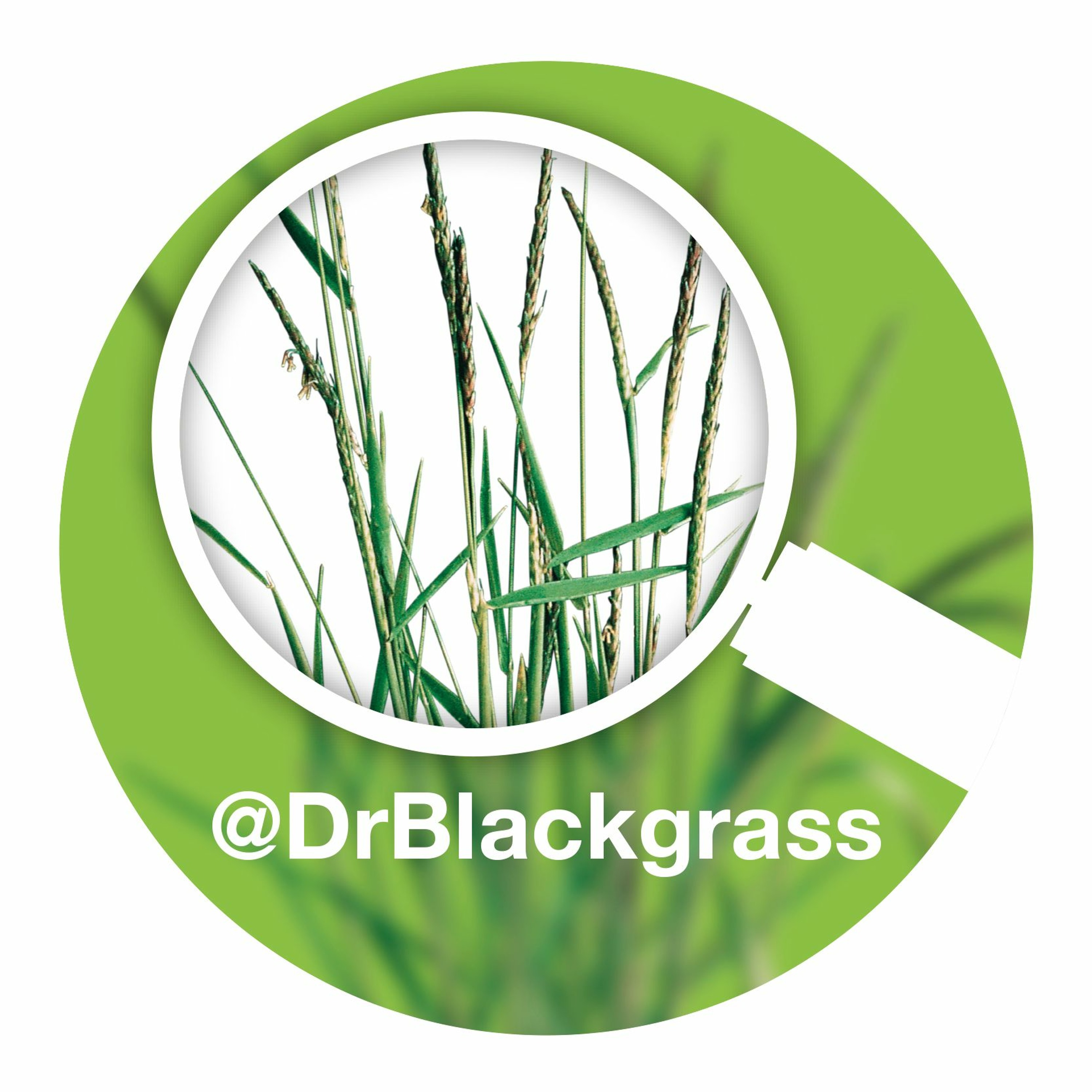 Dr Blackgrass on air