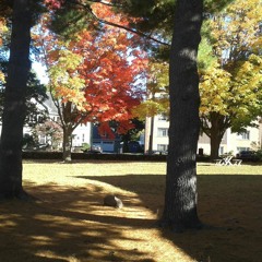 End of Life Issues, Week 1: Intro to the Study of Death and Dying - Maurer