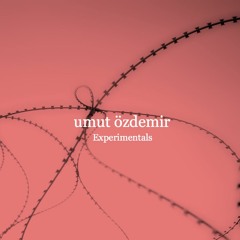 A Dirge For The Pulsar