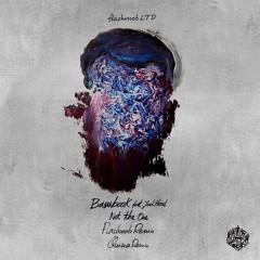 Bambook - Not The One (Flashmob Remix) [Flashmob LTD] [MI4L.com]
