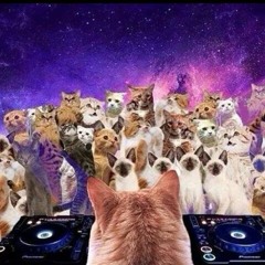 Sebastian Bosco - Kitties on mars