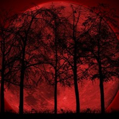 Out of Dark 20.09.2016