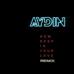 HOW DEEP IS YOUR LOVE (AYDIN REMIX)