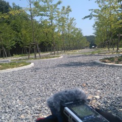 2016 Summer Japan (Setouchi Art Triennial and Echigo Tsumari Trip)_Stereo